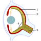Illustration for article titled This amazing optical illusion video will make a mans head disappear